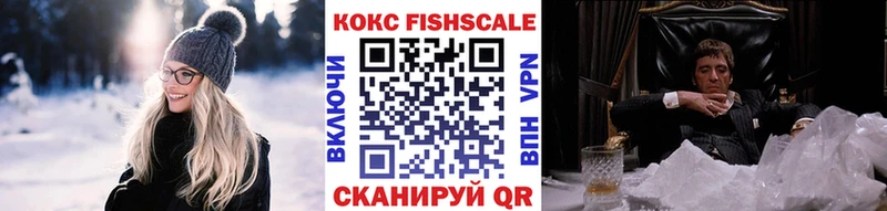 продажа наркотиков  Шадринск  COCAIN FishScale 