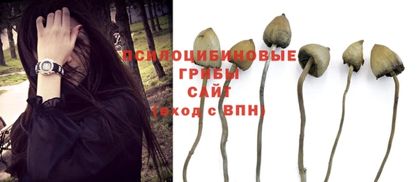 spice Белоозёрский