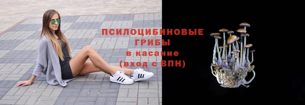 spice Белоозёрский