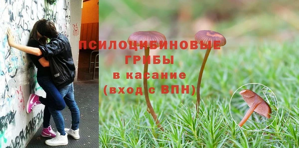 spice Белоозёрский