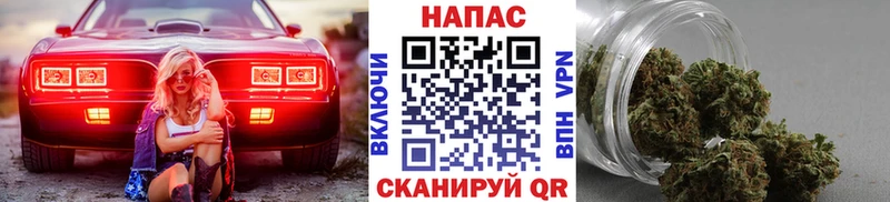 Конопля планчик  MEGA ССЫЛКА  Шадринск  купить  